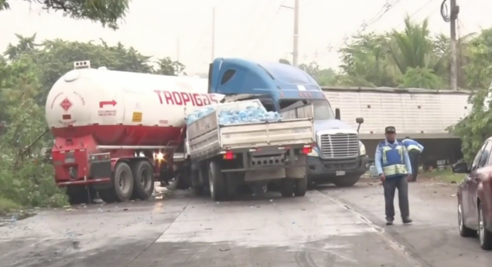 The accident caused by the frogs and toads plaguing a town in Honduras.