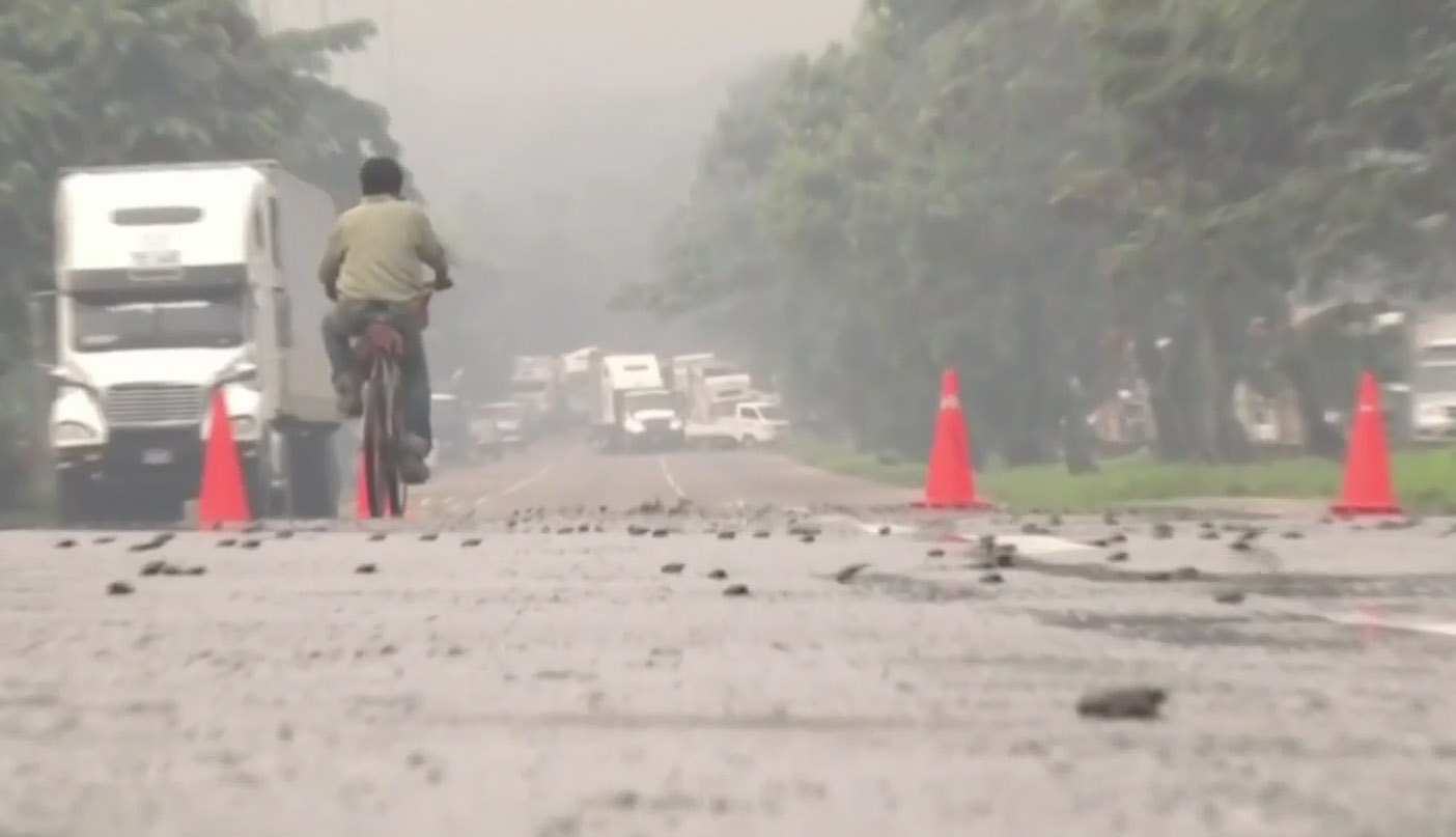 The accident caused by the frogs and toads plaguing a town in Honduras.