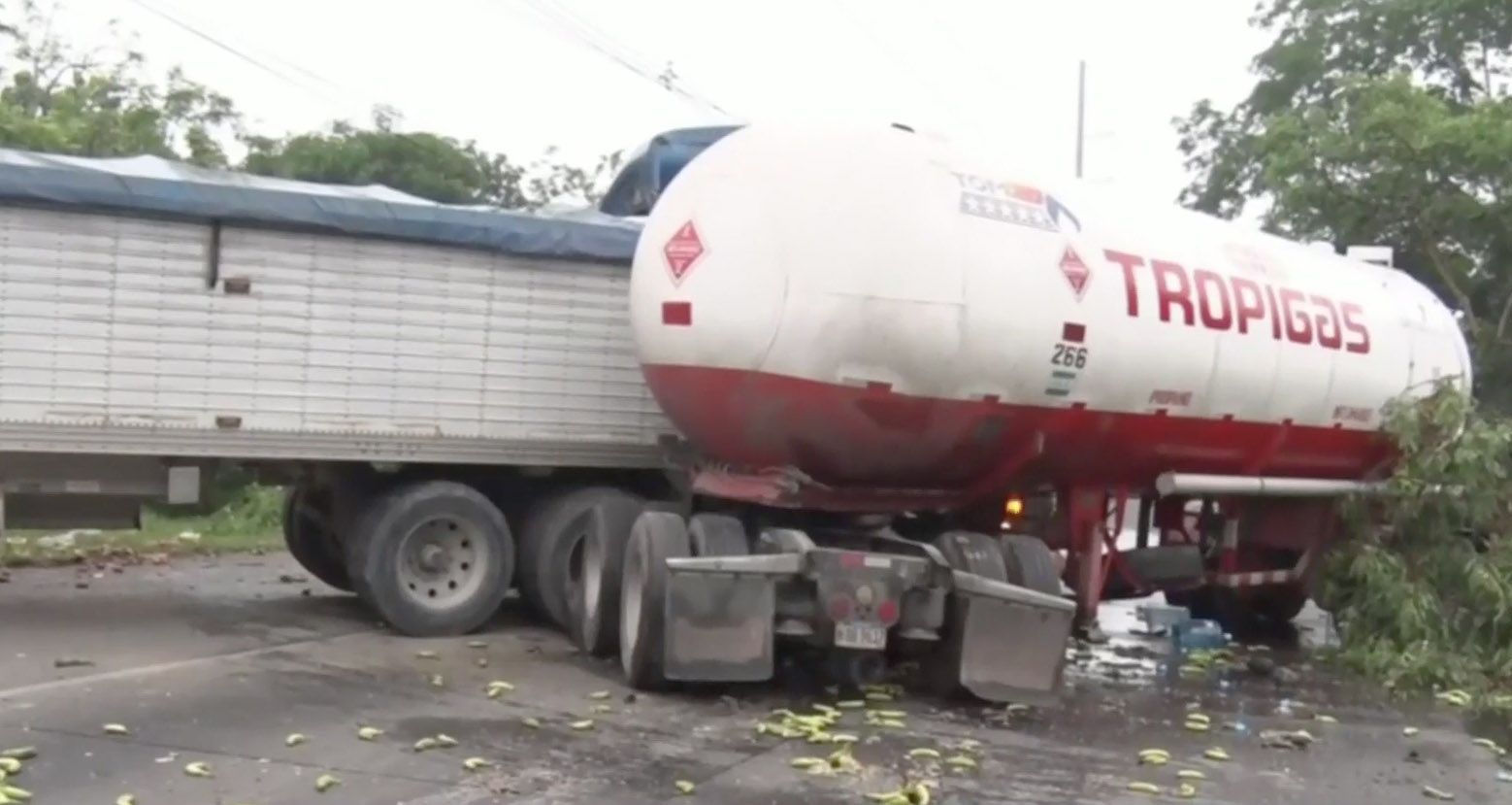 The accident caused by the frogs and toads plaguing a town in Honduras.