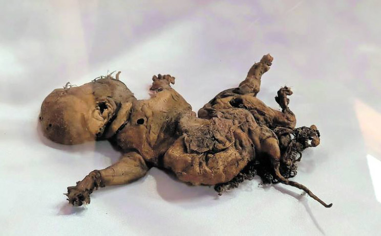 The mysterious ‘goblin foetus’ found by builders.