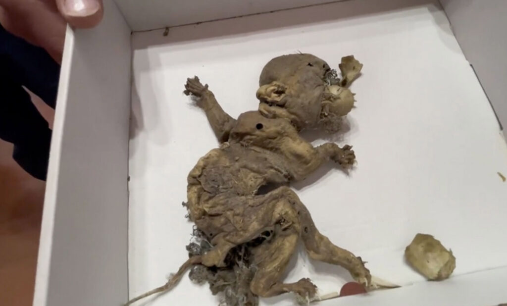 The mysterious ‘goblin foetus’ found by builders.