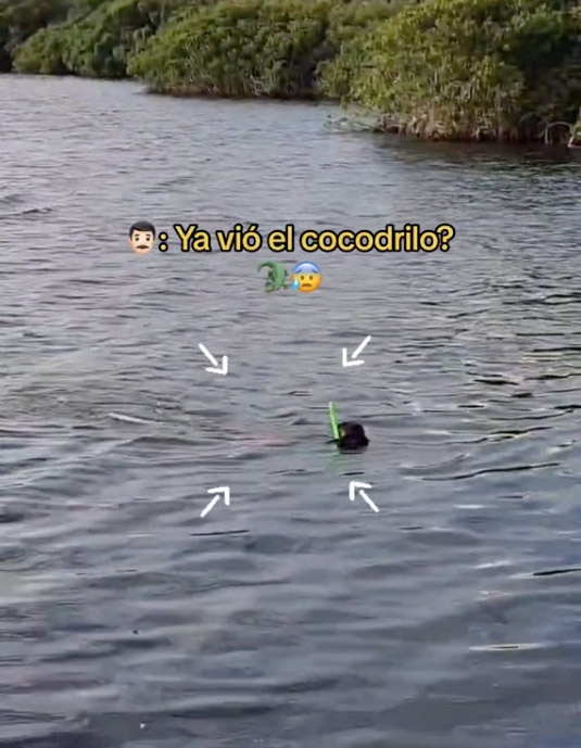 The man filmed snorkelling in a crocodile-infested lagoon just a few feet from a crocodile.