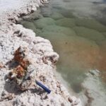 signs of earliest life on Earth in remote lagoons