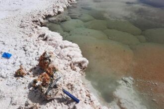 signs of earliest life on Earth in remote lagoons