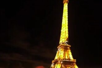 A video grab of Razvan asking Daniela Patru to marry her in front of the Eiffel Tower.