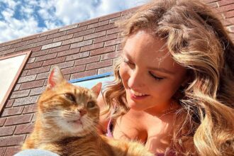 The ginger cat Molly and Tom looked after in Australia.