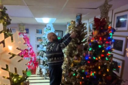 Some of Vince Jackman and Tom Kereluk's Christmas Trees.
