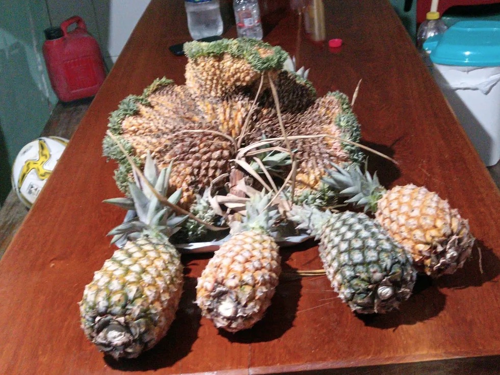 The ‘mutant pineapple’ harvested by a fruit farmer in Brazil.