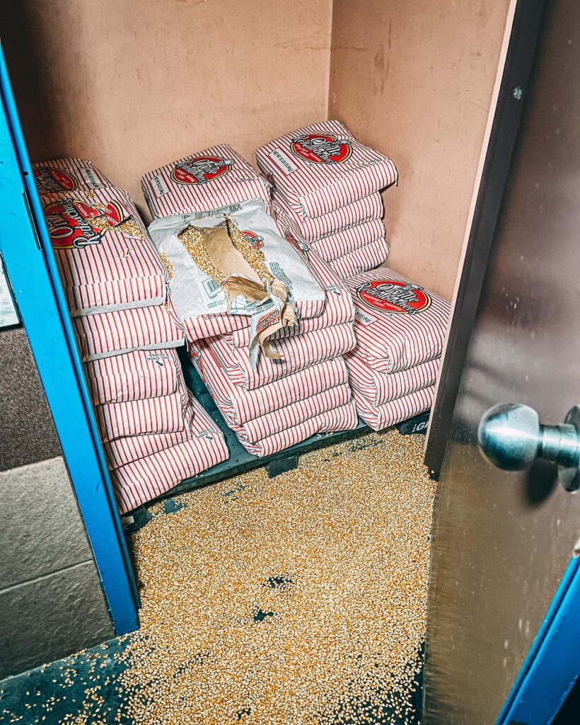 cobad filled with 30 bags of popcorn kernels inside the abandoned cinema.