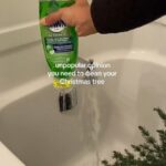 A social video grab of Rhema giving her Christmas tree a deep clean in her bathtub.
