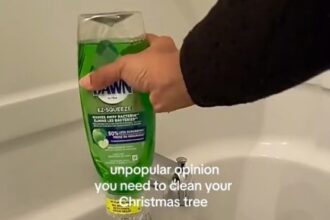 A social video grab of Rhema giving her Christmas tree a deep clean in her bathtub.