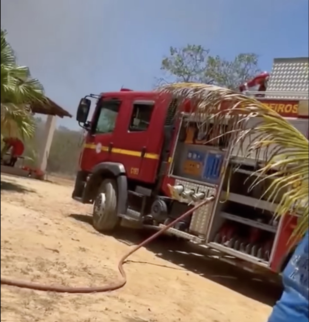 Emergency services at the elderly man's house, trying to put out the fire which he stared while he was using a flamethrower to remove some annoying spider webs.