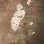 The face of Ozzy Osbourne on a woman’s driveway.