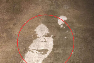 The face of Ozzy Osbourne on a woman’s driveway.