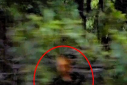 A picture from the video posted by Amy Pendleton showing what she believes is a ghost to the side of the road in Gilson cemetery, Nashua, New Hampshire, US.