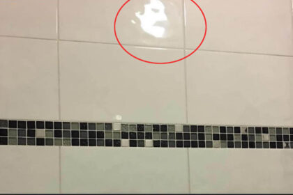 Freddie Mercury’s face on Louise’s bathroom tiles.