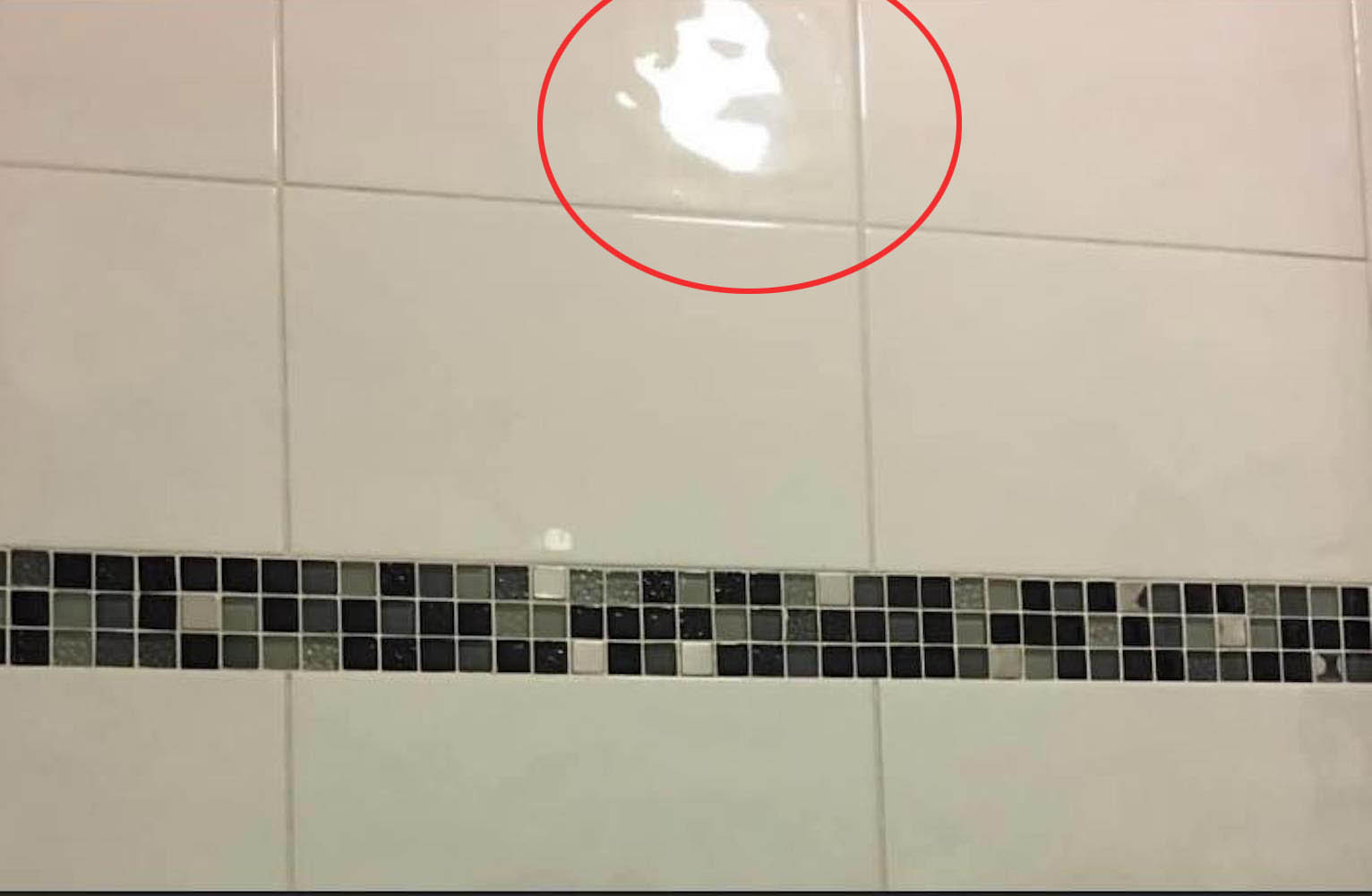 Freddie Mercury’s face on Louise’s bathroom tiles.