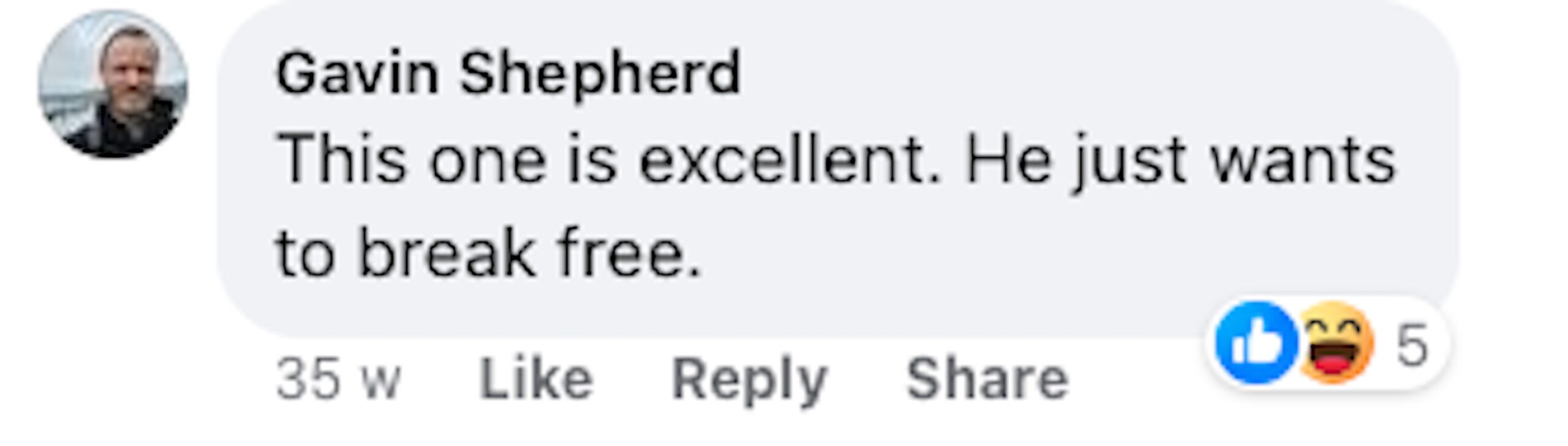 Social media comment on Louise’s post of Freddie Mercury’s face on her bathroom tiles.