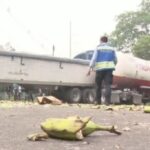 The accident caused by the frogs and toads plaguing a town in Honduras.