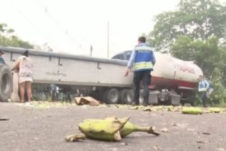 The accident caused by the frogs and toads plaguing a town in Honduras.