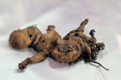 The mysterious ‘goblin foetus’ found by builders.