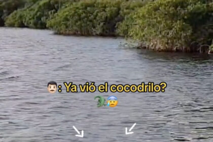 The man filmed snorkelling in a crocodile-infested lagoon just a few feet from a crocodile.