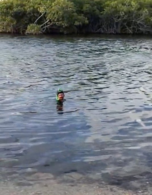The man filmed snorkelling in a crocodile-infested lagoon just a few feet from a crocodile.