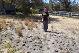 Kathleen Murray the woman from Australia has been award for having the ugliest lawn in the world.