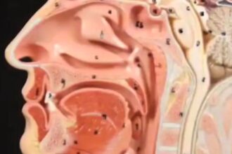 Dr Sooj sharing shocking news on TikTok revealing a bizarre condition called ‘no burp syndrome’ – which has some rather nasty side effects.