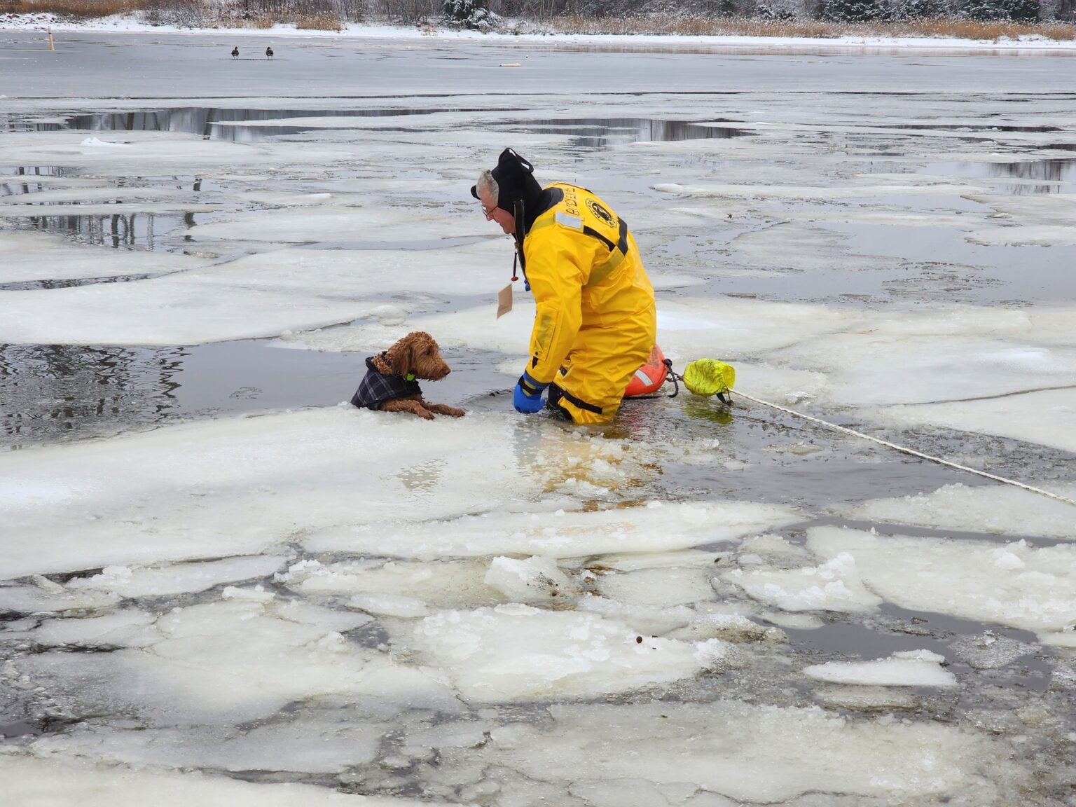 heartwarming moment as a dog is rescued from a frozen river in Braintree, Massachusetts, US.