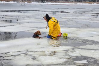 heartwarming moment as a dog is rescued from a frozen river in Braintree, Massachusetts, US.