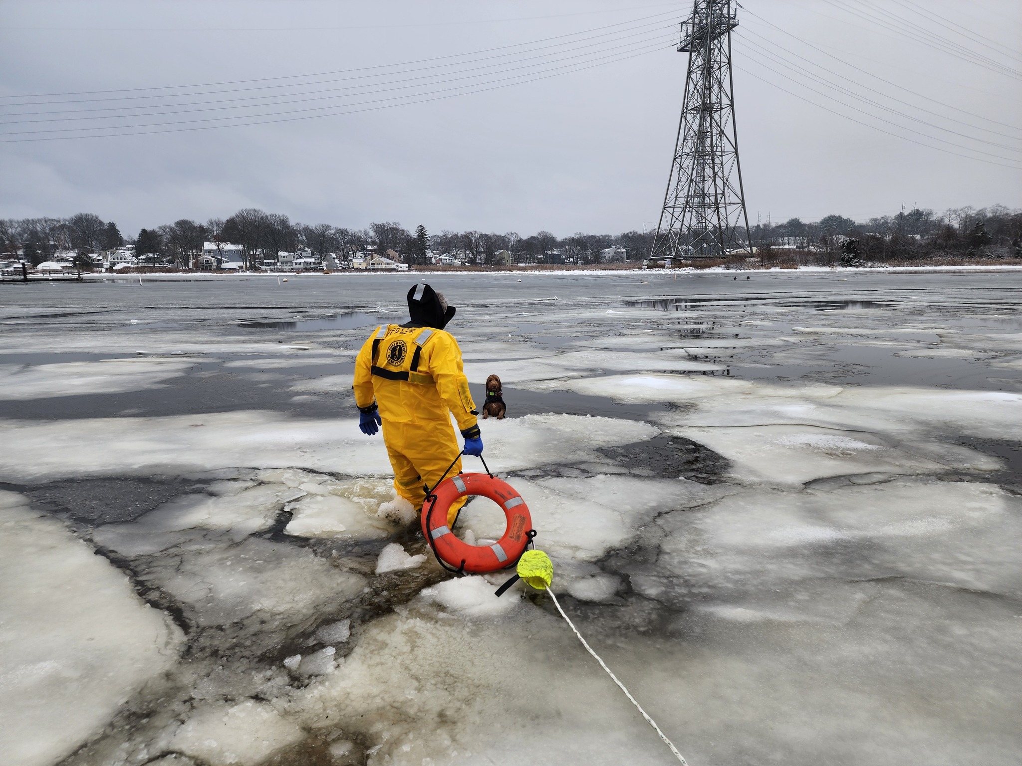 heartwarming moment as a dog is rescued from a frozen river in Braintree, Massachusetts, US.