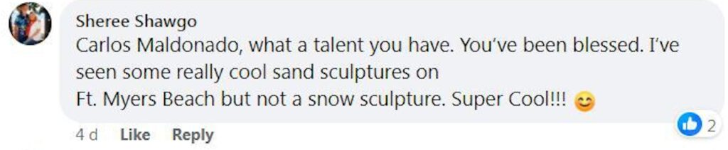 Social media comment on the video of Carlos Maldonado building the snow shark.