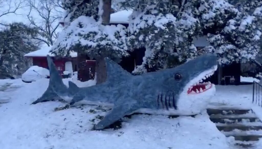 Video grab of Carlos Maldonado building the snow shark which goes viral on social media.