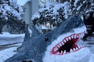 Video grab of Carlos Maldonado building the snow shark which goes viral on social media.