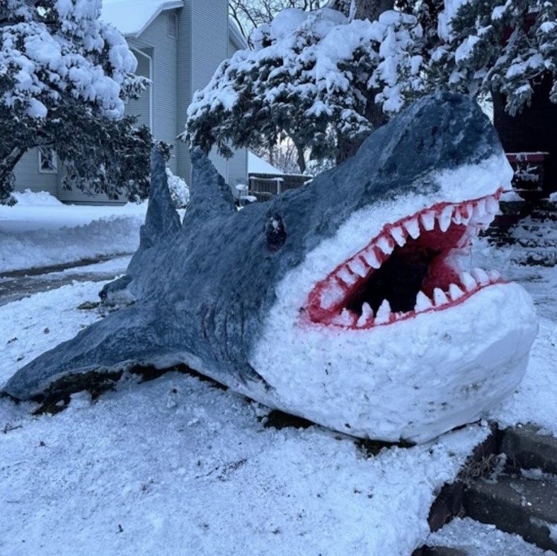 Video grab of Carlos Maldonado building the snow shark which goes viral on social media.