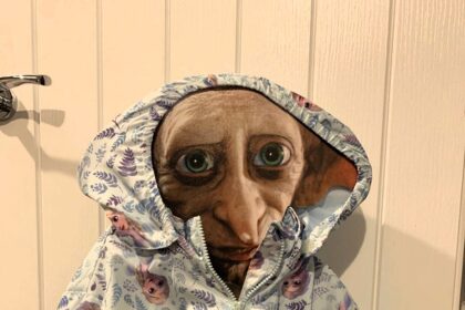 The mum funny listing on Vinted of the cardboard cutout of Dobby.