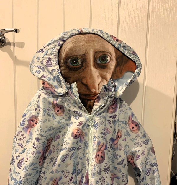 The mum funny listing on Vinted of the cardboard cutout of Dobby.