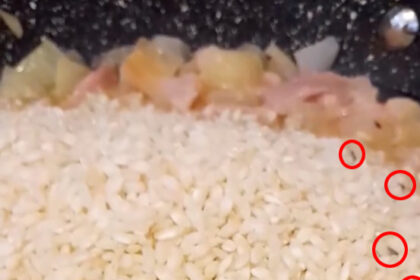 A grab from a video captured by Nichola Jarvis showing the bugs in the The Italian arborio risotto rice.