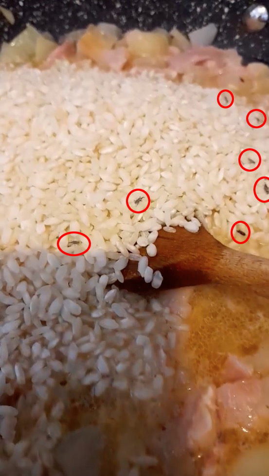 A grab from a video captured by Nichola Jarvis showing the bugs in the The Italian arborio risotto rice.