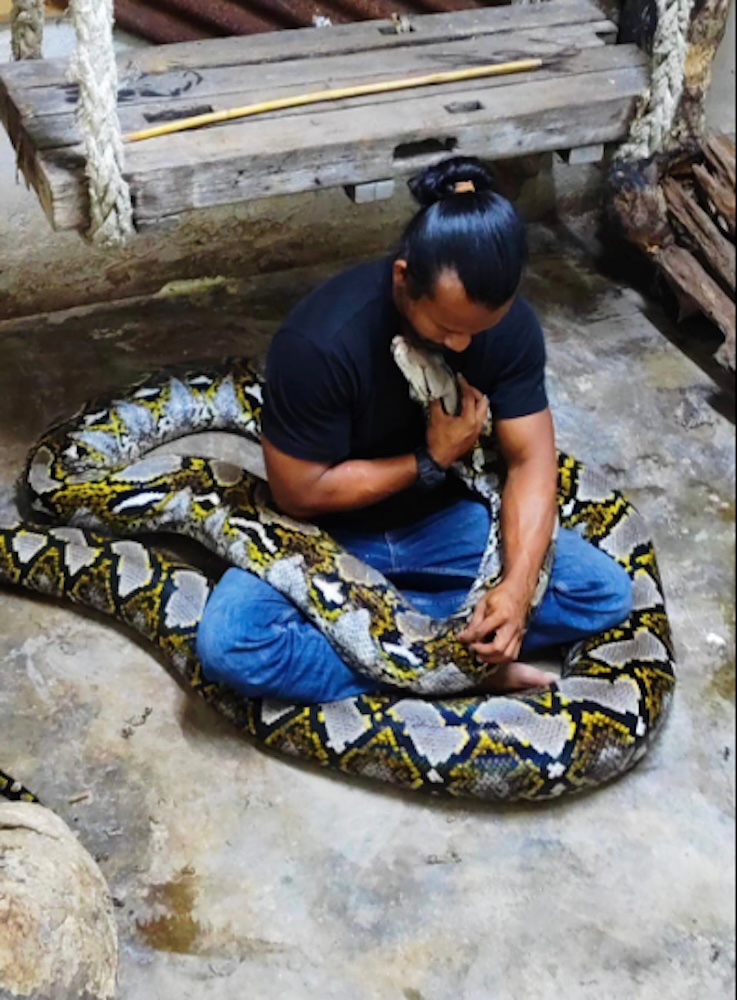 Video grab of Mohammad Redzuan Abdullah wrapping up the remains of his python Cik Kiah, in cling film and freezing it.