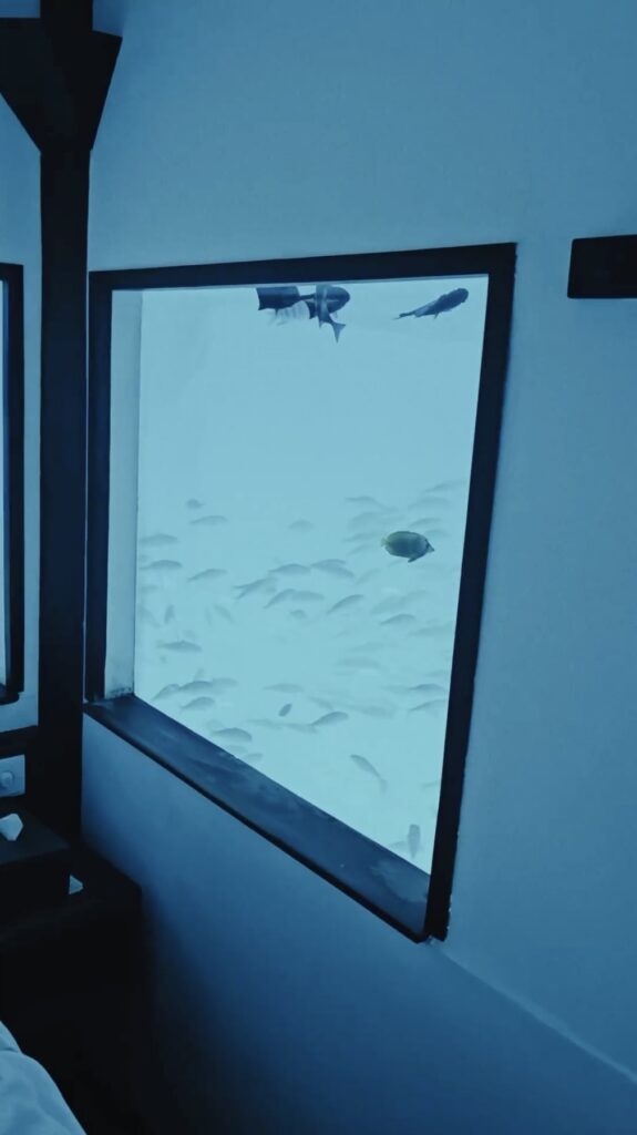 Tourist staying in 'claustrophobic' underwater hotel room goes viral on social media.