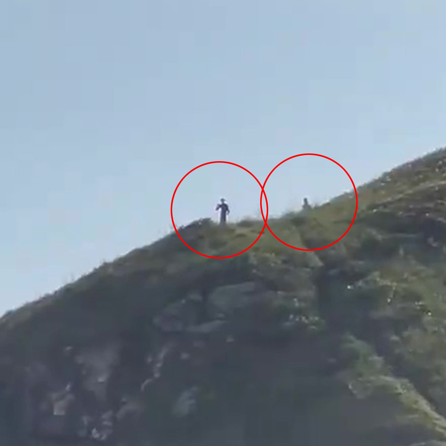 Video grab (image cropped and aliens circled) - The Aliens seen on a hilltop in the Brazilian island of Ilha do Mel.