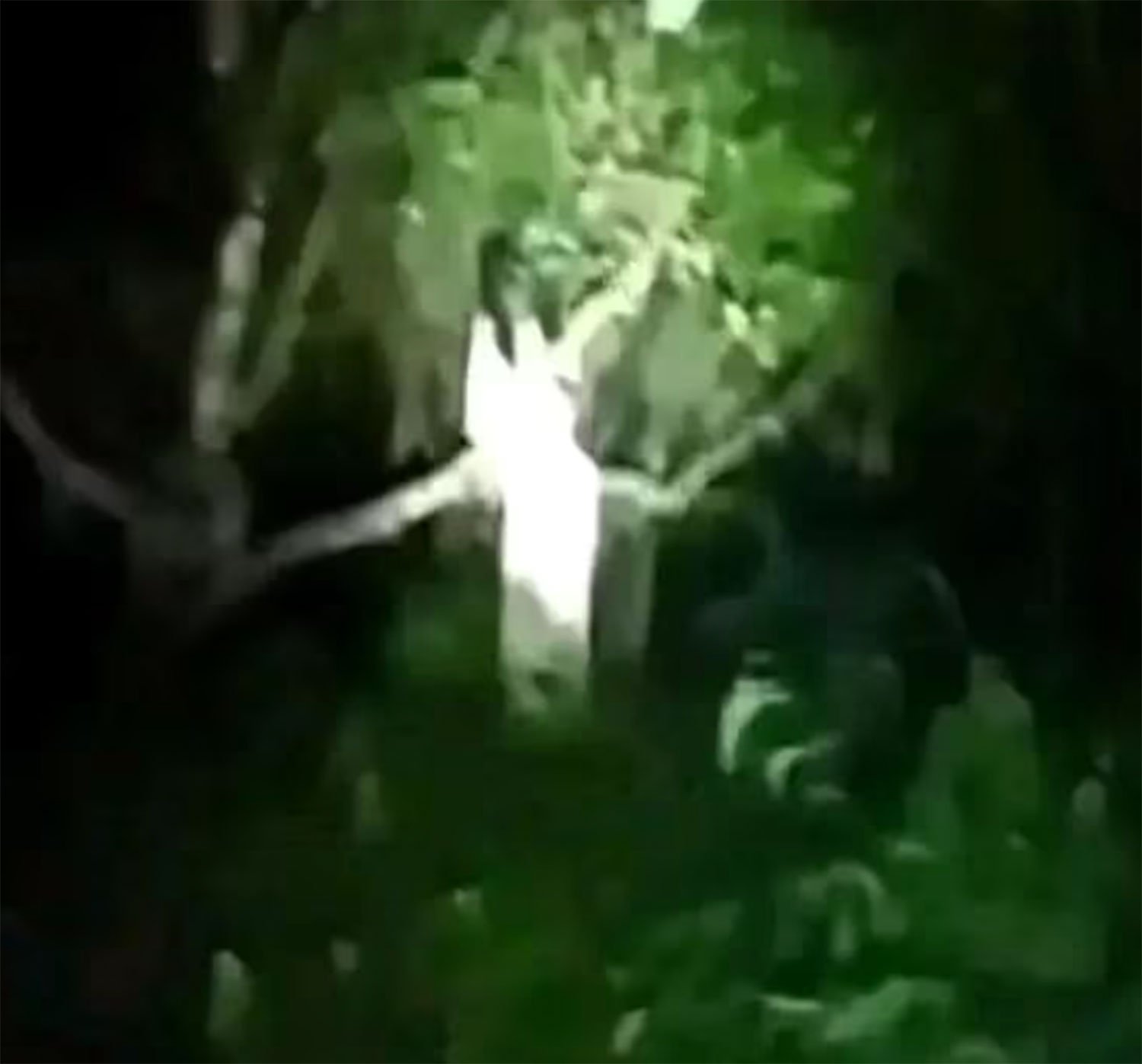  Vengeful Ghost Of La Llorona Terrorises Village After Being Spotted