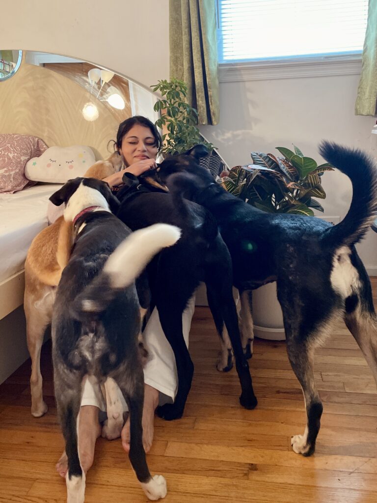 Monica the woman who rescued five injured dogs while on holiday in india.