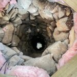 A couple discovers a hidden historical well under their floorboards from the 1850s. They preserve it as "The Well of Forgiveness" in their gallery, creating a conversation piece and honoring its past.