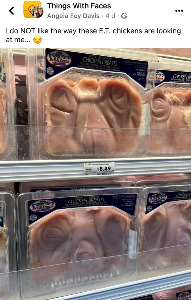 Chicken breasts in a US supermarket bear an uncanny resemblance to E.T., prompting amusement and movie references among shoppers.