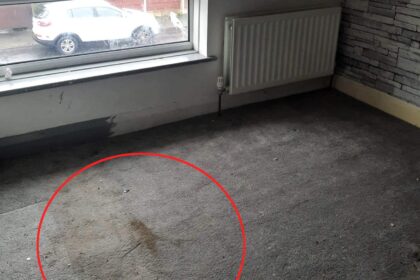 a homeless woman buys filthy house with dog poo stains and transforms it into ‘dream home' with DIY techniques and saving methods.