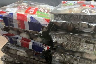 A savvy shopper receives 17 packets of mushrooms from an Aldi Too Good To Go bag, valued at £16.15 for just £6.60 goes viral on social media.