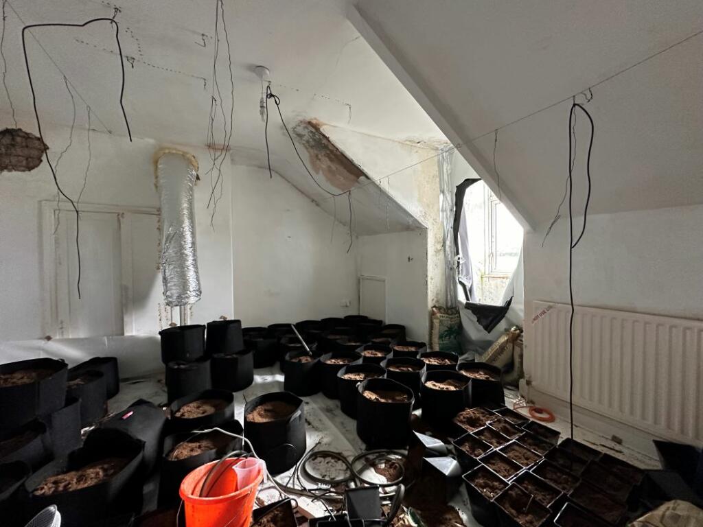 inside the property Two-bed house in Sunderland for £32,500, but it used to be a cannabis farm. Needs extensive refurbishment. Auction on March 6.